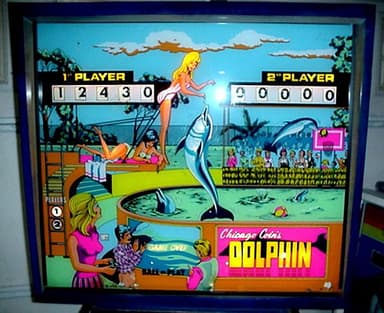 Dolphin backglass